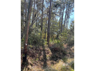 Beautiful wooded lot located on Dauphin Island near the Gulf of on Isle Dauphine Club Golf Course in Alabama - for sale on GolfHomes.com, golf home, golf lot