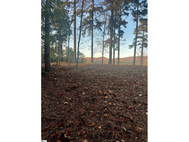 Build your dream home at 108 Ryder Cup Drive--a prime .43-acre on The Clubs at Cherokee Valley Golf Course in South Carolina - for sale on GolfHomes.com, golf home, golf lot