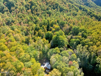 Welcome home to 2713 Country Club Road! Whether you are an avid on Lonesome Pine Country Club in Virginia - for sale on GolfHomes.com, golf home, golf lot