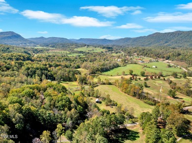 Welcome home to 2713 Country Club Road! Whether you are an avid on Lonesome Pine Country Club in Virginia - for sale on GolfHomes.com, golf home, golf lot
