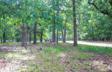 Nestled in the heart of the highly sought-after Holly Lake Ranch on Holly Lake Ranch Golf Club in Texas - for sale on GolfHomes.com, golf home, golf lot