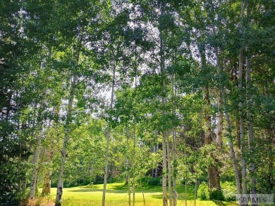 Beautiful wooded lot on the 3rd green of the Timberline Golf on Timberline Golf Course in Idaho - for sale on GolfHomes.com, golf home, golf lot