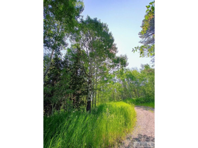 Beautiful wooded lot on the 3rd green of the Timberline Golf on Timberline Golf Course in Idaho - for sale on GolfHomes.com, golf home, golf lot