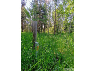 Beautiful wooded lot on the 3rd green of the Timberline Golf on Timberline Golf Course in Idaho - for sale on GolfHomes.com, golf home, golf lot