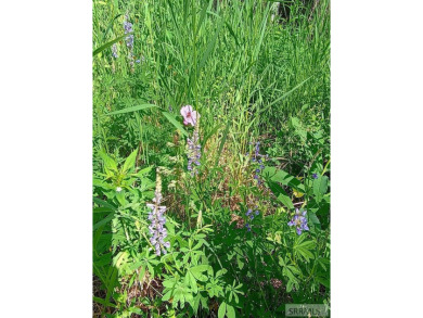 Beautiful wooded lot on the 3rd green of the Timberline Golf on Timberline Golf Course in Idaho - for sale on GolfHomes.com, golf home, golf lot