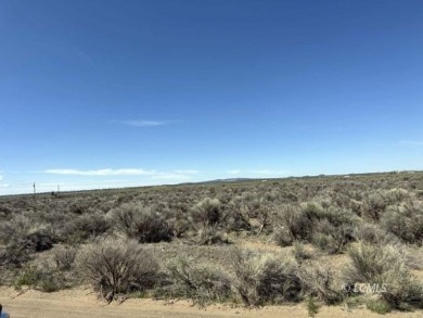 33 or 14375 SQ FT large parcel with community water available on Christmas Valley Golf Course in Oregon - for sale on GolfHomes.com, golf home, golf lot