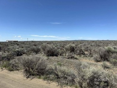 33 or 14375 SQ FT large parcel with community water available on Christmas Valley Golf Course in Oregon - for sale on GolfHomes.com, golf home, golf lot