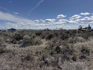 33 or 14375 SQ FT large parcel with community water available on Christmas Valley Golf Course in Oregon - for sale on GolfHomes.com, golf home, golf lot