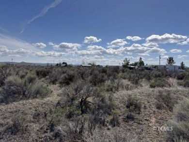 33 or 14375 SQ FT large parcel with community water available on Christmas Valley Golf Course in Oregon - for sale on GolfHomes.com, golf home, golf lot