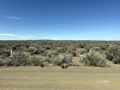 33 or 14375 SQ FT large parcel with community water available on Christmas Valley Golf Course in Oregon - for sale on GolfHomes.com, golf home, golf lot