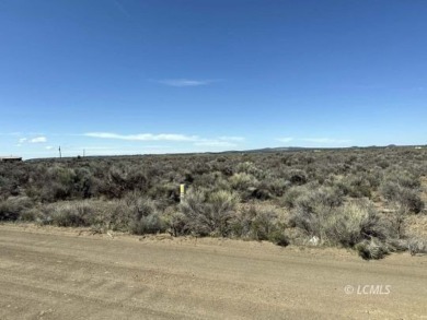 33 or 14375 SQ FT large parcel with community water available on Christmas Valley Golf Course in Oregon - for sale on GolfHomes.com, golf home, golf lot