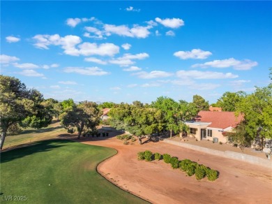 LOOKS BRAND NEW! Fully updated 55+Golf course townhome in Sun on Highland Falls Golf Club in Nevada - for sale on GolfHomes.com, golf home, golf lot