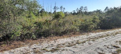 Come build your forever home on this one-half acre lot that on Indian Lake Estates Golf and Country Club in Florida - for sale on GolfHomes.com, golf home, golf lot