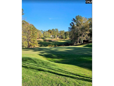 Welcome to 305 Woodlander Dr., a beautifully designed on Cobblestone Park Golf Club in South Carolina - for sale on GolfHomes.com, golf home, golf lot