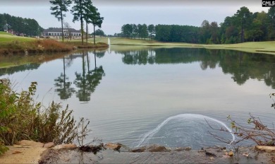 Welcome to 305 Woodlander Dr., a beautifully designed on Cobblestone Park Golf Club in South Carolina - for sale on GolfHomes.com, golf home, golf lot
