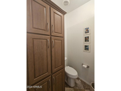 Better Than New! All The Upgrades Are Done! Open Floor Plan, New on Viewpoint Golf Resort in Arizona - for sale on GolfHomes.com, golf home, golf lot