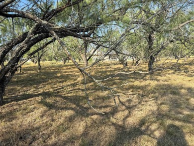 Don't miss this prime residential property in the Heart of on Slick Rock Golf Course - Horseshoe Bay in Texas - for sale on GolfHomes.com, golf home, golf lot