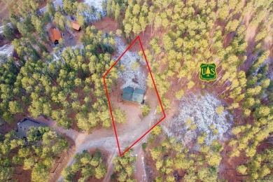 TURNKEY CABIN RETREAT. This three-level cabin sits in the pines on  in South Dakota - for sale on GolfHomes.com, golf home, golf lot