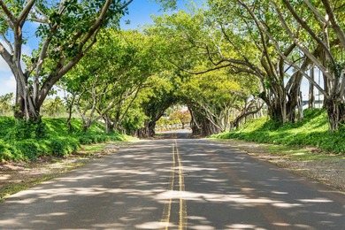 Relax in this peaceful studio in a premier oceanfront resort on Wailua Municipal Golf Course in Hawaii - for sale on GolfHomes.com, golf home, golf lot