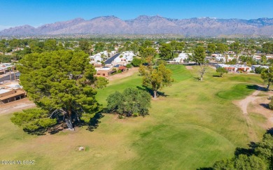 This townhouse golf course property backs up to the fairway and on Dorado Country Club in Arizona - for sale on GolfHomes.com, golf home, golf lot