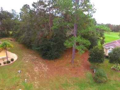 17 Woodlee Ct S, Homosassa, FL 34446 Welcome to the perfect on Southern Woods Golf Club in Florida - for sale on GolfHomes.com, golf home, golf lot