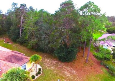 17 Woodlee Ct S, Homosassa, FL 34446 Welcome to the perfect on Southern Woods Golf Club in Florida - for sale on GolfHomes.com, golf home, golf lot