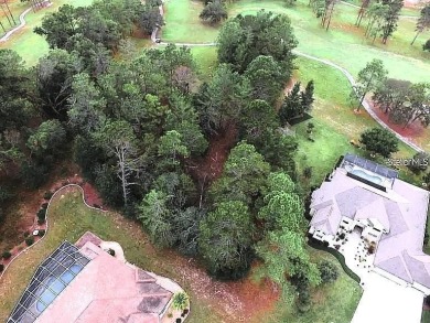17 Woodlee Ct S, Homosassa, FL 34446 Welcome to the perfect on Southern Woods Golf Club in Florida - for sale on GolfHomes.com, golf home, golf lot