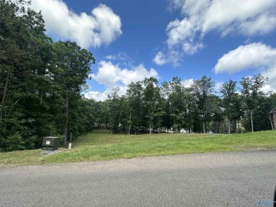 Large Golf Course Lots (1.39 Acres) with Gorgeous Lake Views in on Cherokee Ridge Country Club in Alabama - for sale on GolfHomes.com, golf home, golf lot