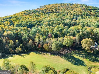 GOLF COURSE FRONTAGE - two adjacent lots totaling 1.69-/+ acres on The Orchard Golf and Country Club in Georgia - for sale on GolfHomes.com, golf home, golf lot