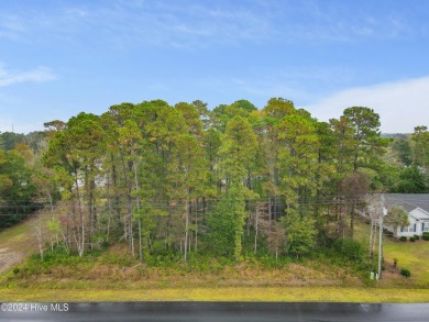 Beautiful approximately .68 acre property nestled in the acreage on Carolina Shores Golf Course in North Carolina - for sale on GolfHomes.com, golf home, golf lot