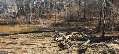 Build your dream home in the established Chapel Hill community on Chapel Hills Golf and Country Club in Georgia - for sale on GolfHomes.com, golf home, golf lot