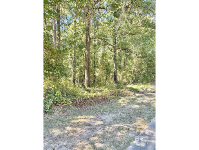 Come enjoy the beautiful One-of-a-Kind Golf Course Community of on Steelwood Country Club in Alabama - for sale on GolfHomes.com, golf home, golf lot