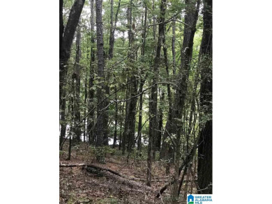 Growing area. Close to public boat launch and Alpine Bay Golf on Alpine Bay Resort in Alabama - for sale on GolfHomes.com, golf home, golf lot