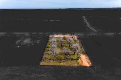Build Your Dream Home in the Prestigious Pecan Plantation! on Nutcracker Golf Club in Texas - for sale on GolfHomes.com, golf home, golf lot