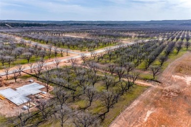Build Your Dream Home in the Prestigious Pecan Plantation! on Nutcracker Golf Club in Texas - for sale on GolfHomes.com, golf home, golf lot