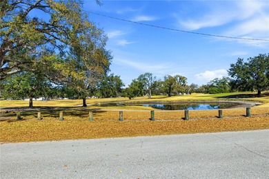 One or more photo(s) has been virtually staged. WOW! This on Babe Zaharias Golf Course in Florida - for sale on GolfHomes.com, golf home, golf lot