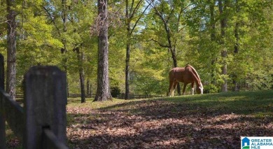 Welcome to South Oak where lifestyle has never been more on Shoal Creek Golf Course in Alabama - for sale on GolfHomes.com, golf home, golf lot