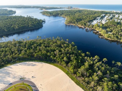 Experience luxury living in the Kellie Plan, a stunning new on Origins Golf Club in Florida - for sale on GolfHomes.com, golf home, golf lot