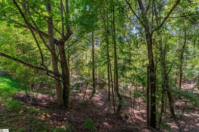 Welcome to your private escape in The Cliffs at Keowee Vineyards on The Cliffs At Keowee Vineyards Golf Club in South Carolina - for sale on GolfHomes.com, golf home, golf lot