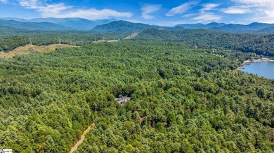 Welcome to your private escape in The Cliffs at Keowee Vineyards on The Cliffs At Keowee Vineyards Golf Club in South Carolina - for sale on GolfHomes.com, golf home, golf lot