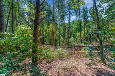 Welcome to your private escape in The Cliffs at Keowee Vineyards on The Cliffs At Keowee Vineyards Golf Club in South Carolina - for sale on GolfHomes.com, golf home, golf lot