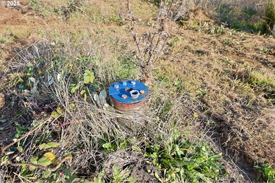 Beautiful 2.60-Acre Golf Course Lot in Ironwood Estates - on Coos Golf Course and Club in Oregon - for sale on GolfHomes.com, golf home, golf lot