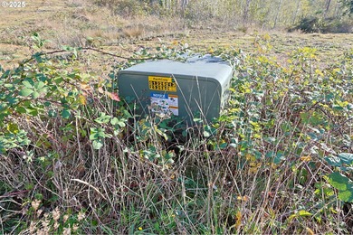 Beautiful 2.60-Acre Golf Course Lot in Ironwood Estates - on Coos Golf Course and Club in Oregon - for sale on GolfHomes.com, golf home, golf lot