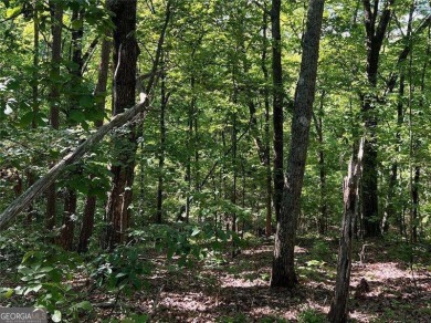 Fantastic easy build 1.16 acre lot located in the Wildcat on Big Canoe Golf Club - Cherokee in Georgia - for sale on GolfHomes.com, golf home, golf lot