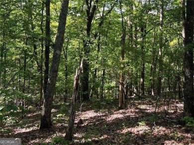 Fantastic easy build 1.16 acre lot located in the Wildcat on Big Canoe Golf Club - Cherokee in Georgia - for sale on GolfHomes.com, golf home, golf lot