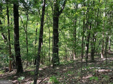 Fantastic easy build 1.16 acre lot located in the Wildcat on Big Canoe Golf Club - Cherokee in Georgia - for sale on GolfHomes.com, golf home, golf lot