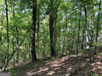 Fantastic easy build 1.16 acre lot located in the Wildcat on Big Canoe Golf Club - Cherokee in Georgia - for sale on GolfHomes.com, golf home, golf lot