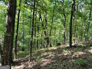 Fantastic easy build 1.16 acre lot located in the Wildcat on Big Canoe Golf Club - Cherokee in Georgia - for sale on GolfHomes.com, golf home, golf lot
