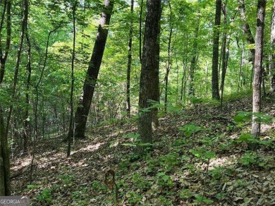Fantastic easy build 1.16 acre lot located in the Wildcat on Big Canoe Golf Club - Cherokee in Georgia - for sale on GolfHomes.com, golf home, golf lot