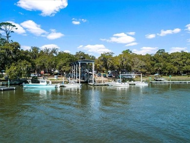 LAST REMAINING DEEP WATER LOT FOR SALE IN SUTHERLAND BLUFF on Sapelo Hammock Golf Club in Georgia - for sale on GolfHomes.com, golf home, golf lot